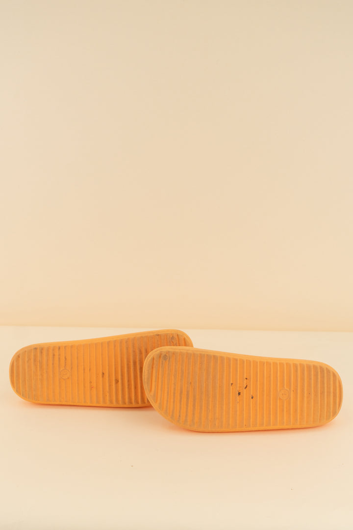 wild fable orange slide (7)