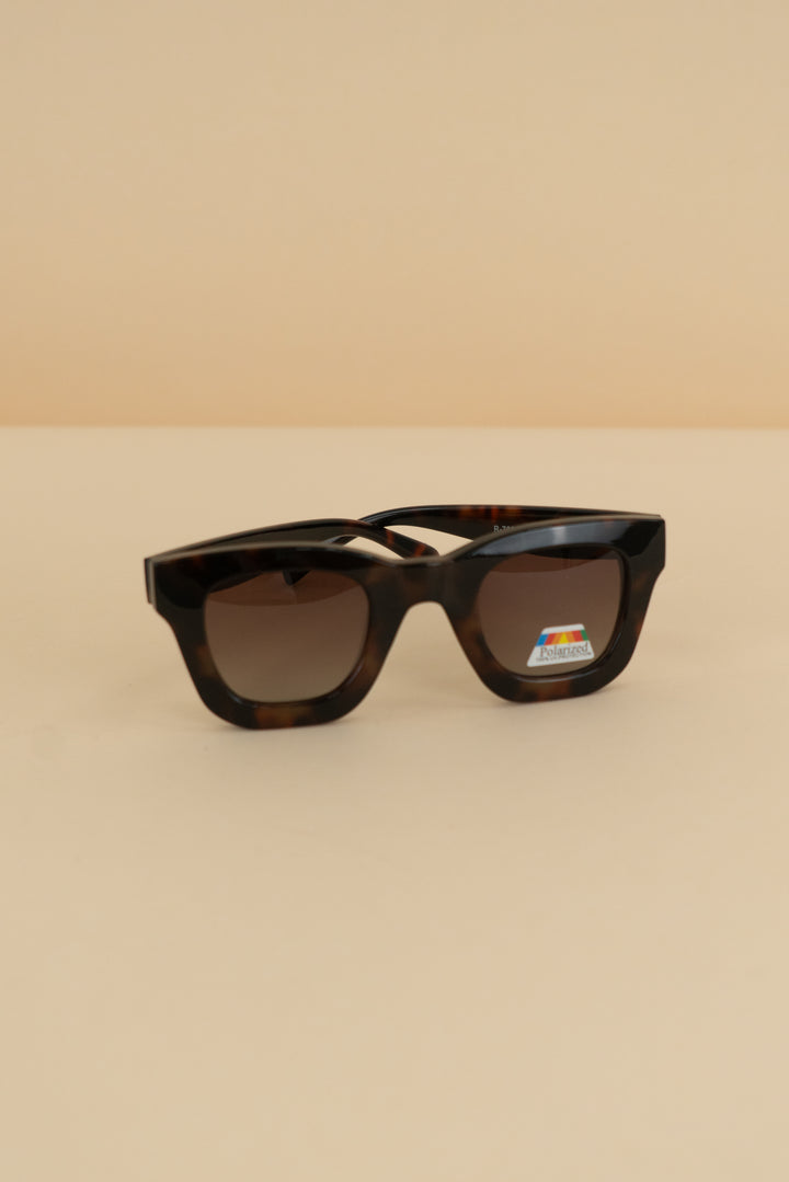 ryan simkhai dark brown tortoise shell wayfarer sunglasses nwt (os)