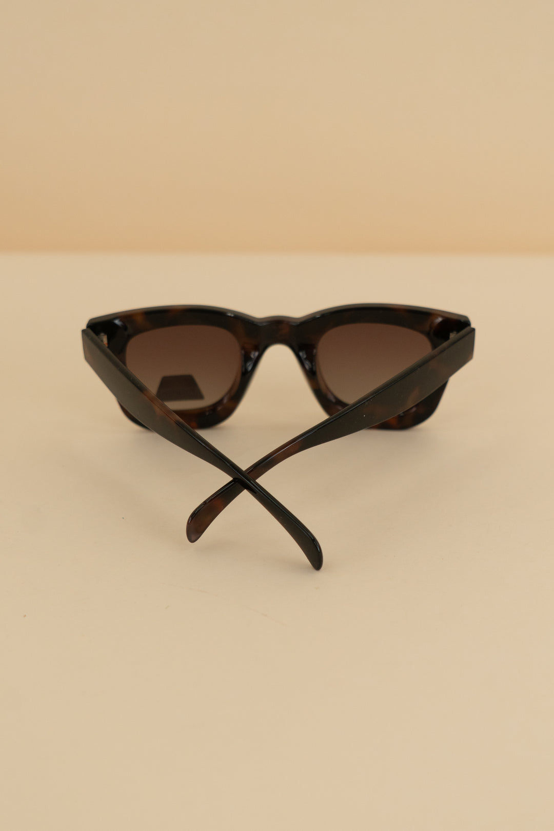 ryan simkhai dark brown tortoise shell wayfarer sunglasses nwt (os)