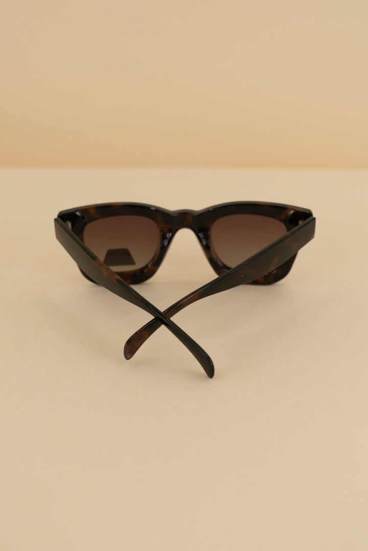 ryan simkhai dark brown tortoise shell wayfarer sunglasses nwt (os)