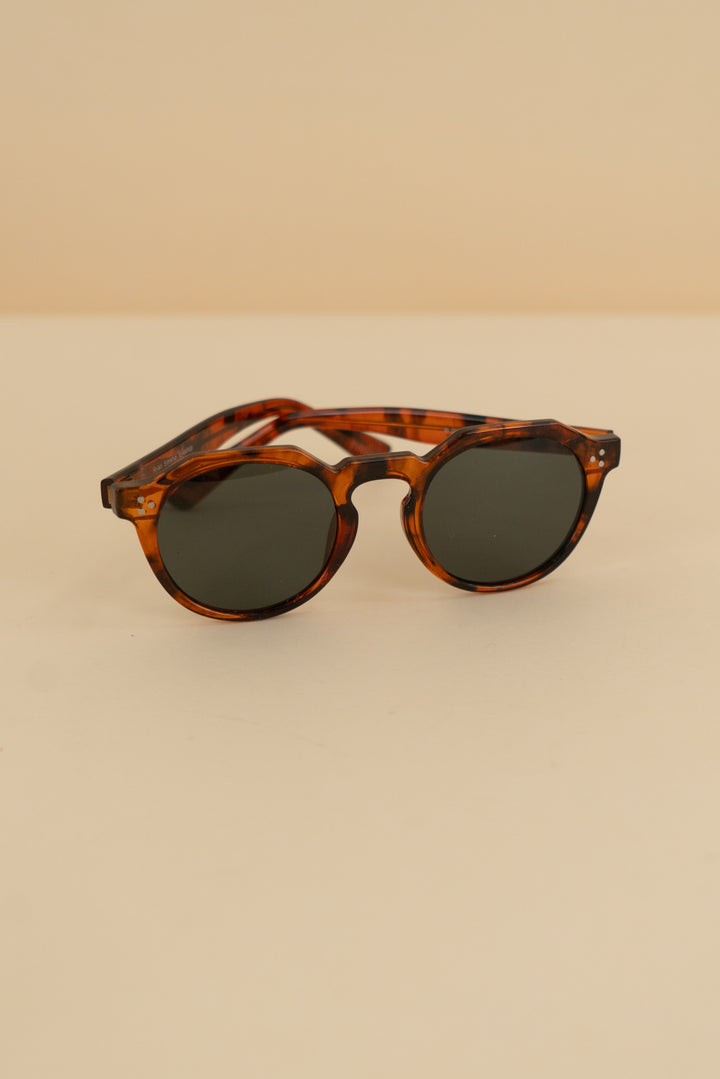 ryan simkhai light brown tortoise shell round sunglasses nwt (os)