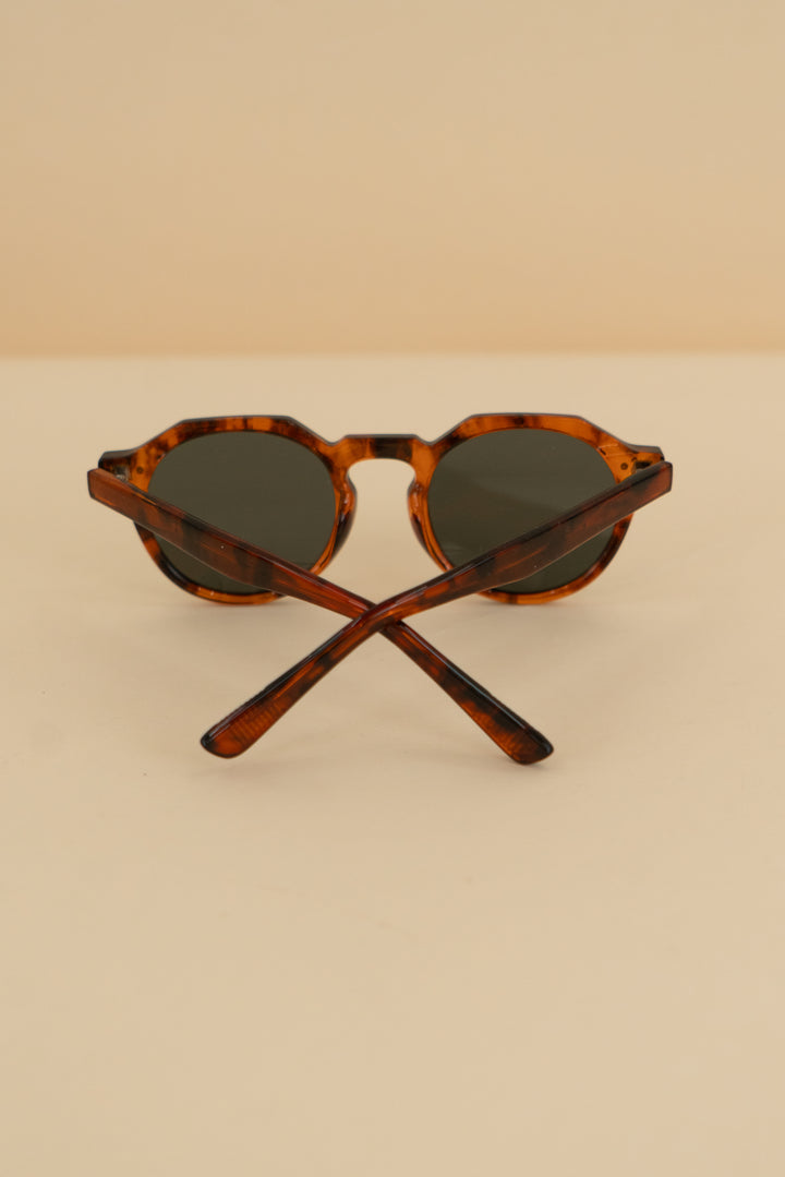 ryan simkhai light brown tortoise shell round sunglasses nwt (os)