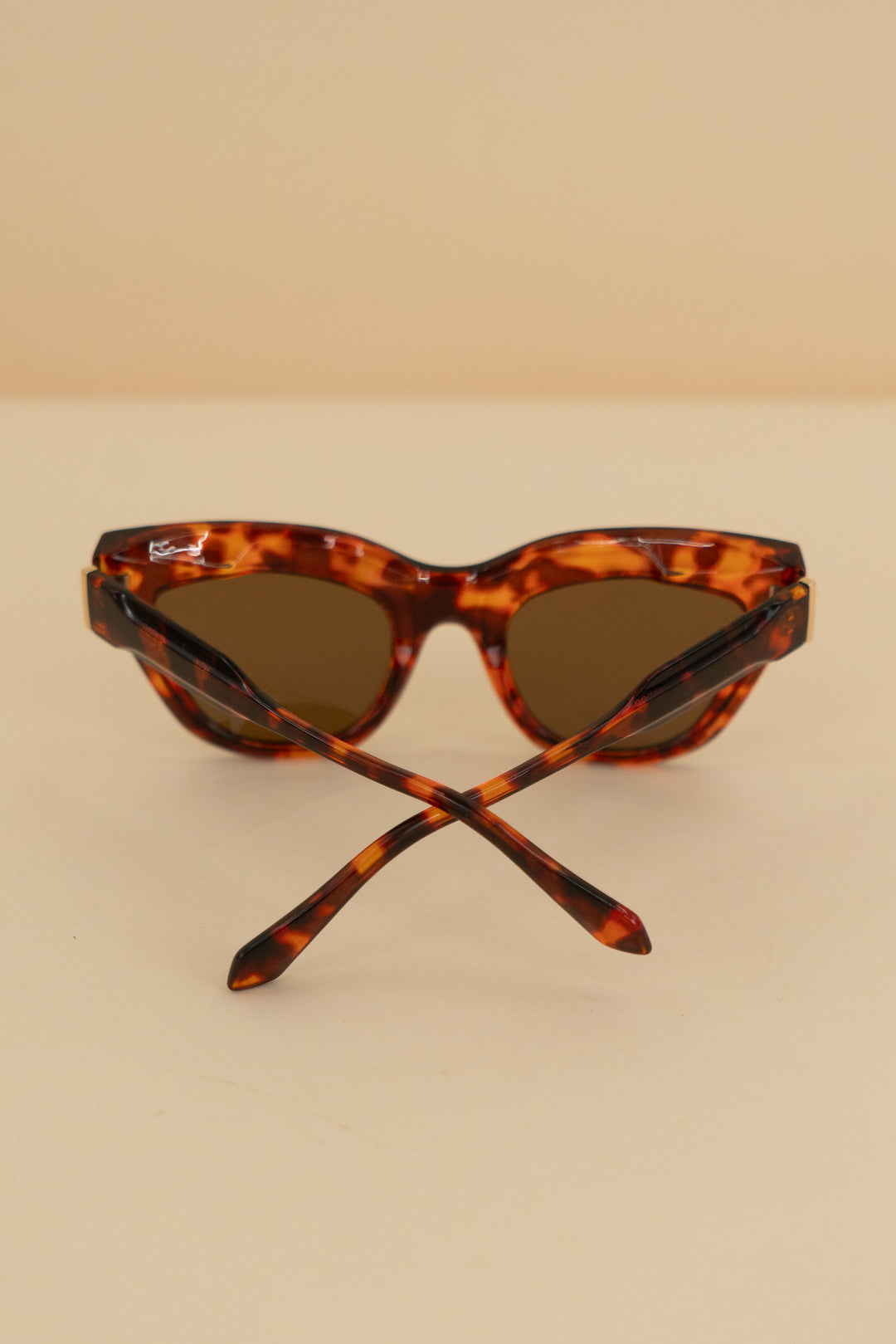 ryan simkhai brown tortoise shell cat eye sunglasses with brown lens nwt (os)