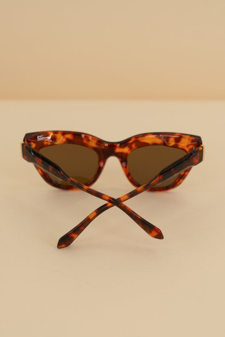 ryan simkhai brown tortoise shell cat eye sunglasses with brown lens nwt (os)