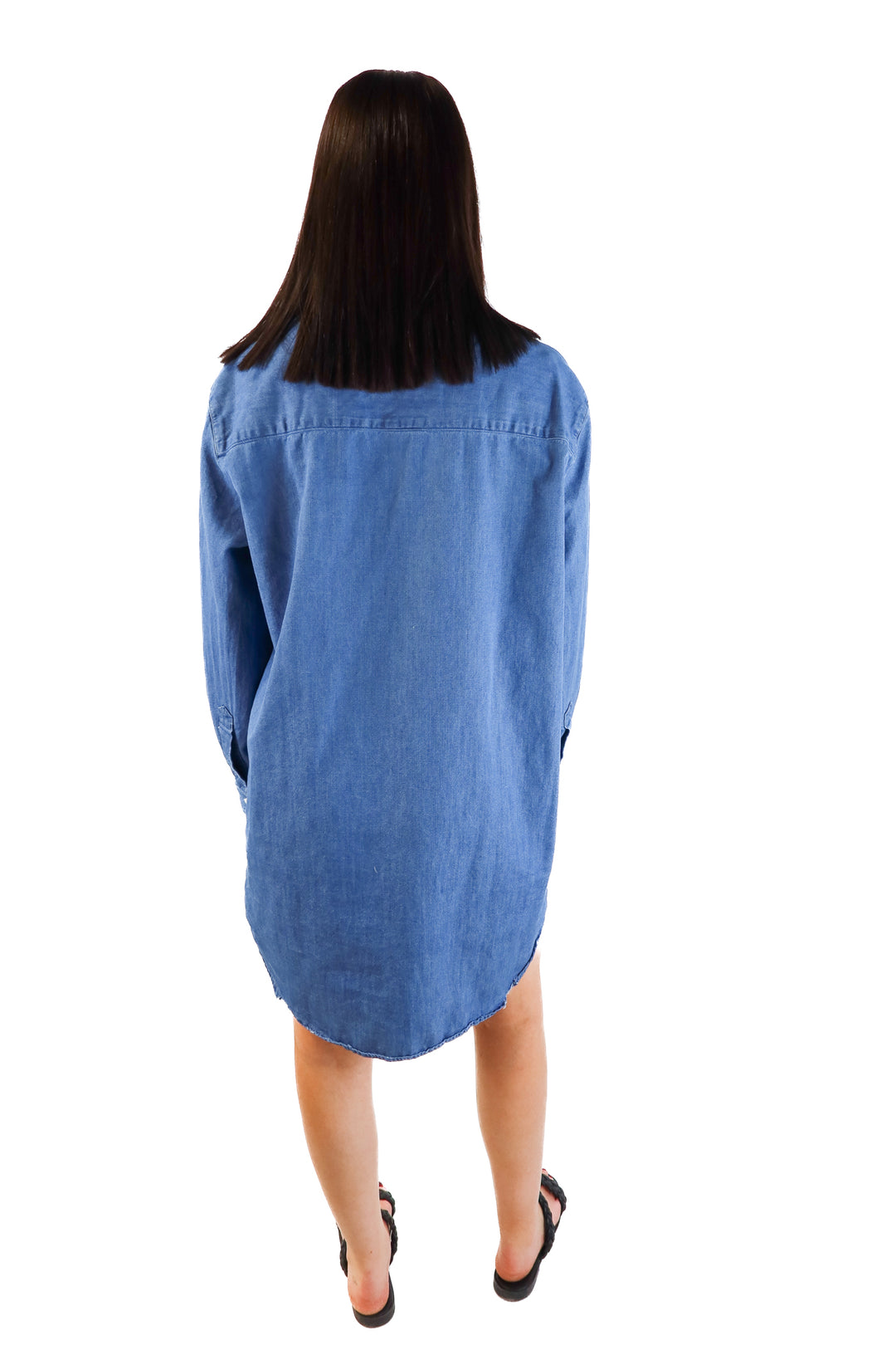 Frank & Eileen Chambray Shirt Dress (L; retail $328)