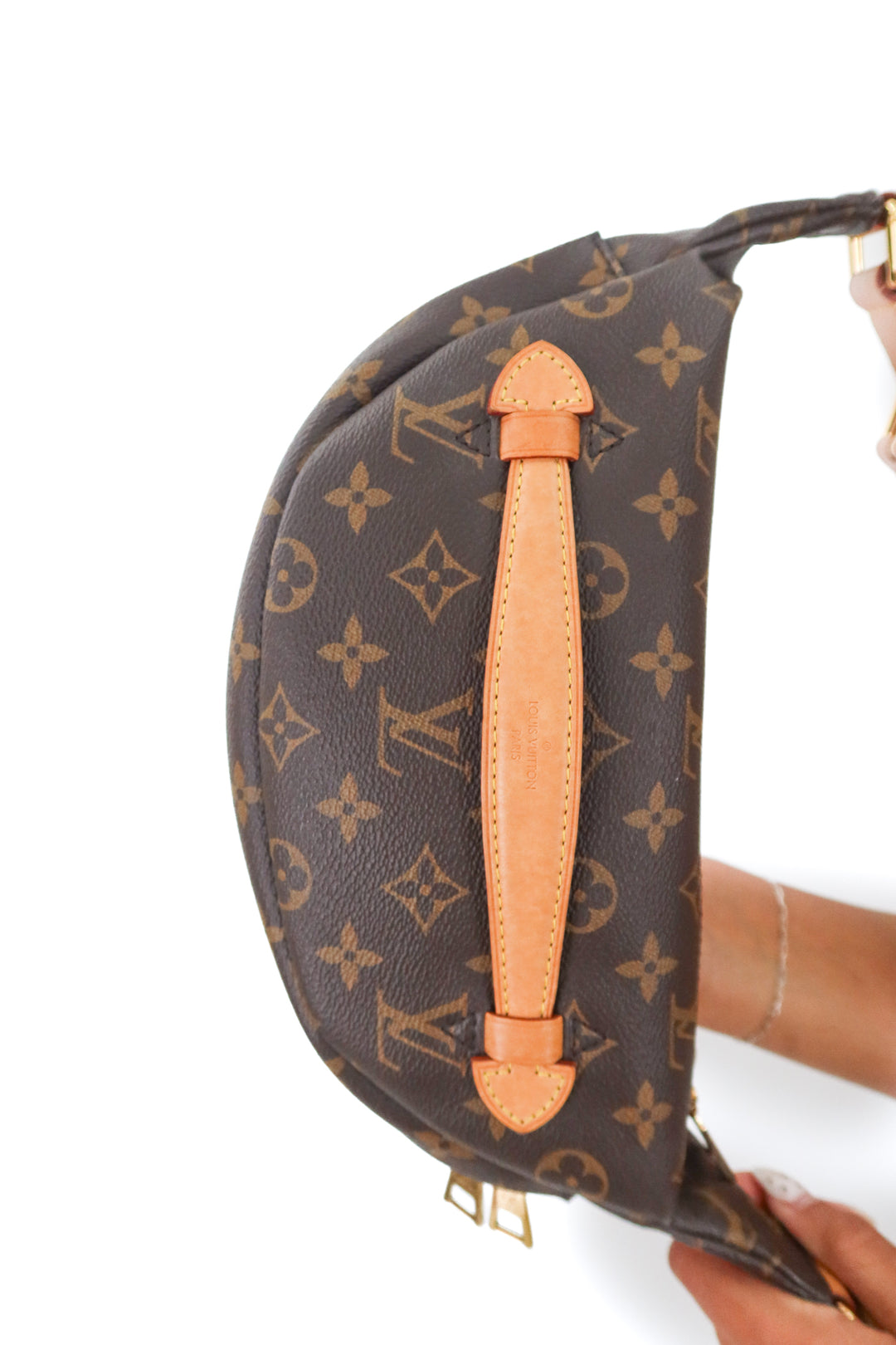 Louis Vuitton Monogram Bumbag