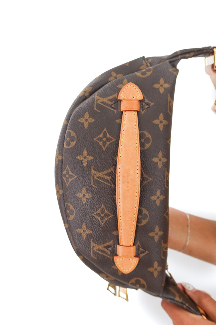 Louis Vuitton Monogram Bumbag