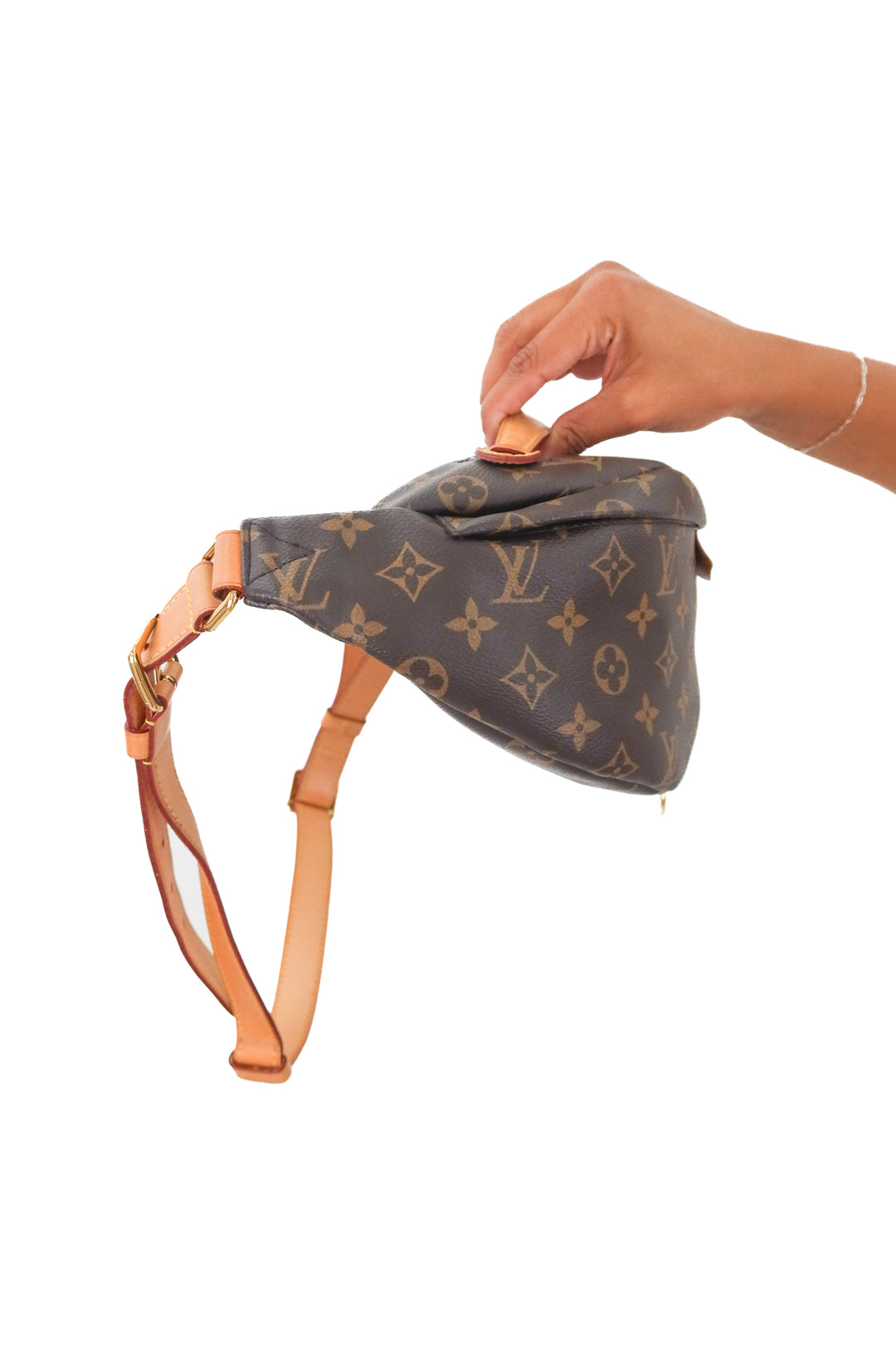 Louis Vuitton Monogram Bumbag