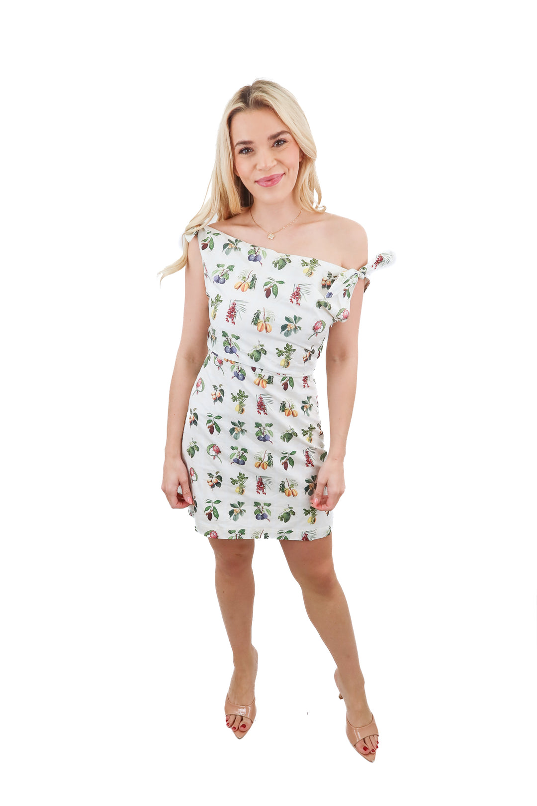 petal + pup multi fruit dress NWT (s; retail $99)