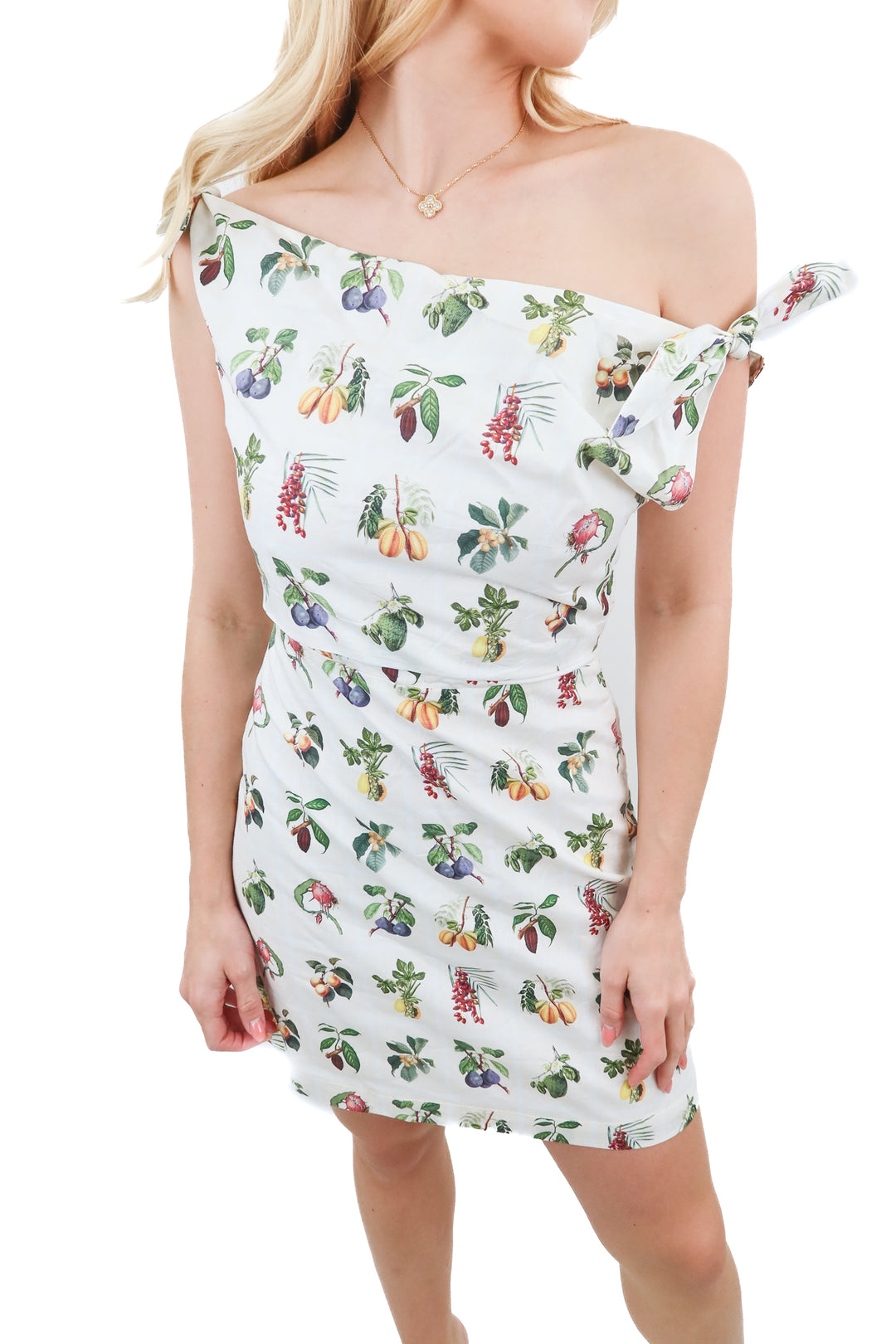petal + pup multi fruit dress NWT (s; retail $99)