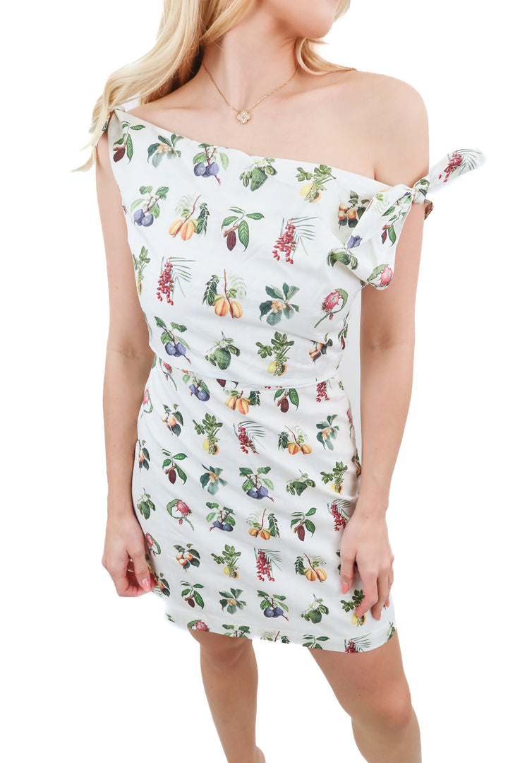 petal + pup multi fruit dress NWT (s; retail $99)