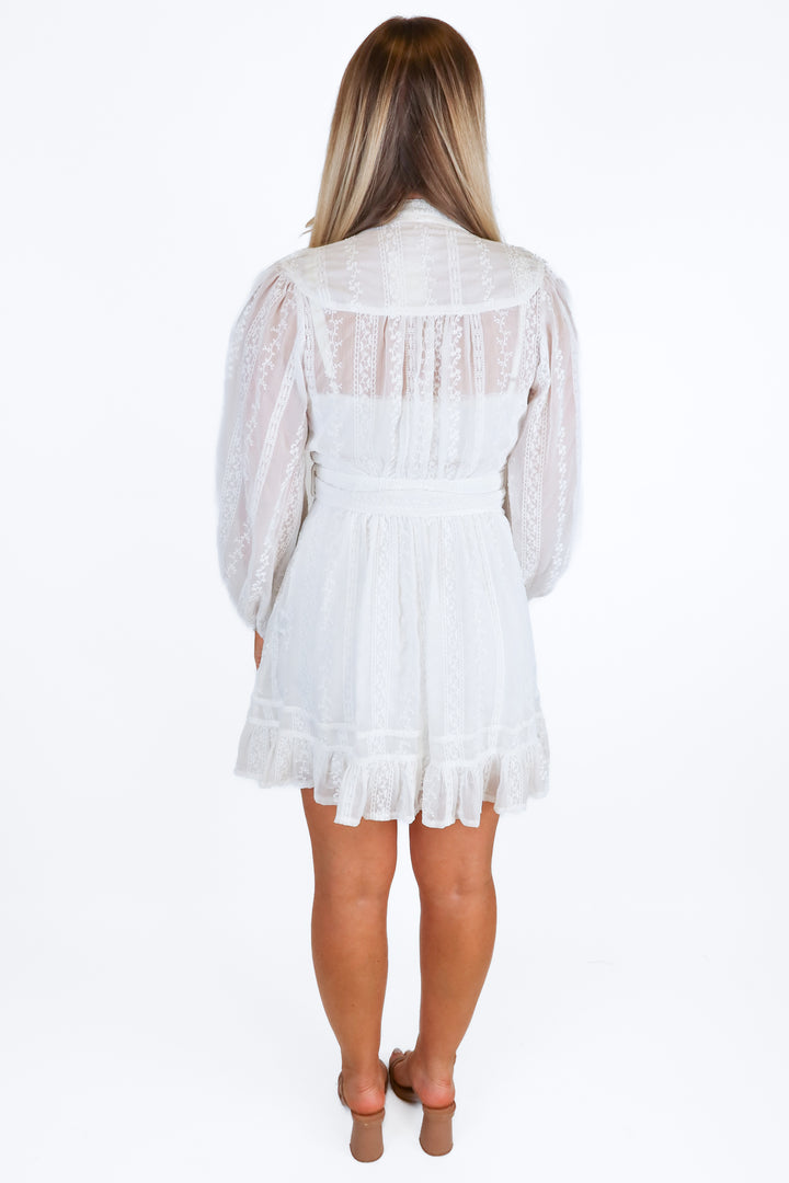 Sofia White Sheet Embroidered Mini Dress (6)