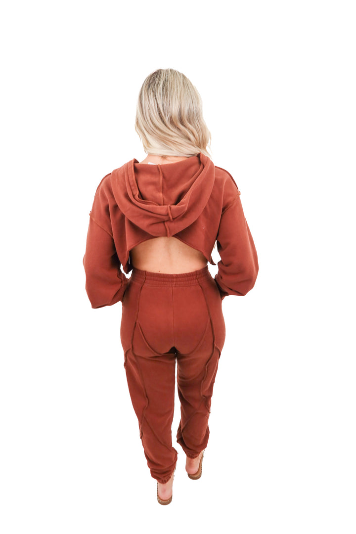 By Dyln brown hoodie and sweatpants set (S)