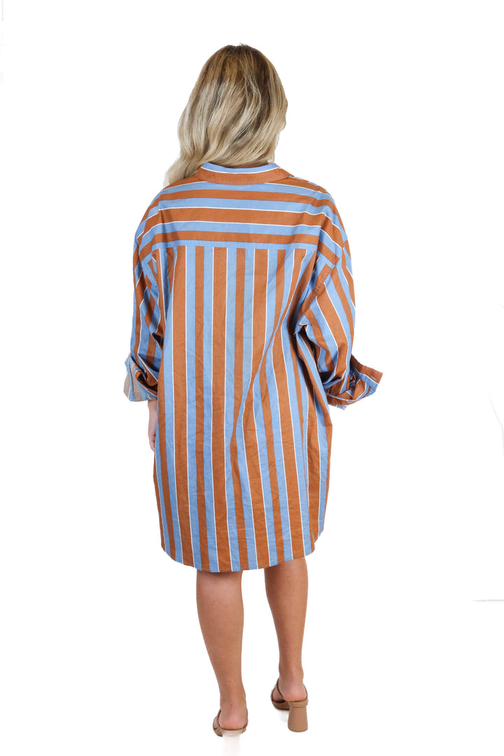 Blanca Brown & Blue Button Down Shirt and Shorts Set (S/M; retail $359)