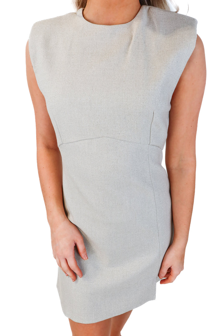 zara silver sparkle dress NWT (s; retails $49.90)
