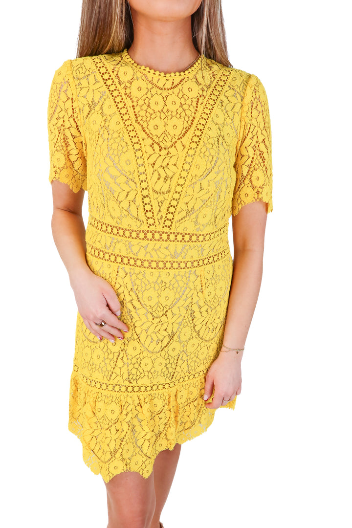 saylor yellow lace short sleeve dress (m)