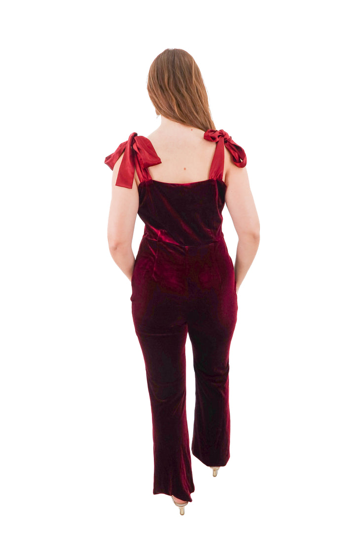 endless rose maroon velvet maxi dress (l)