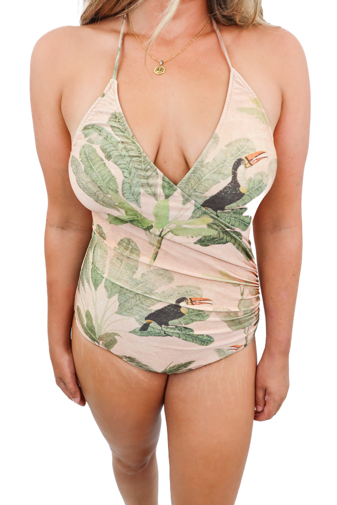 adriana degreas tropical metallic one piece swimsuit (m; retail $181)