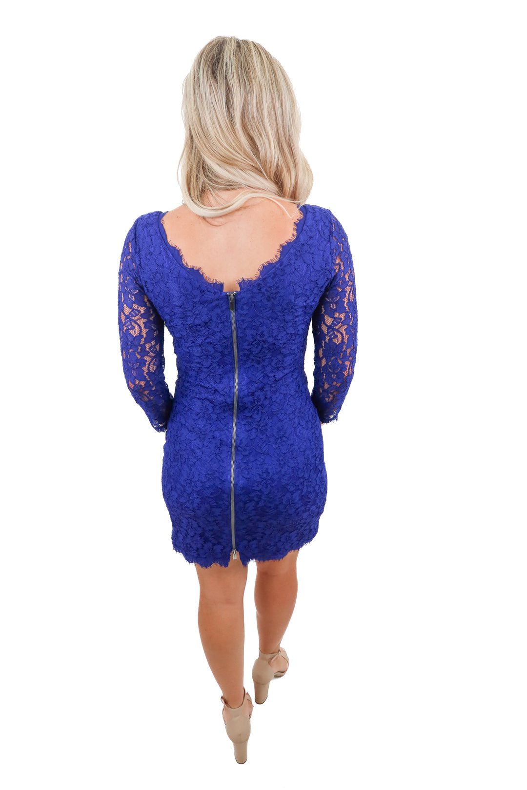 diane von furstenberg purple lace dress NWT (4; retail $348)