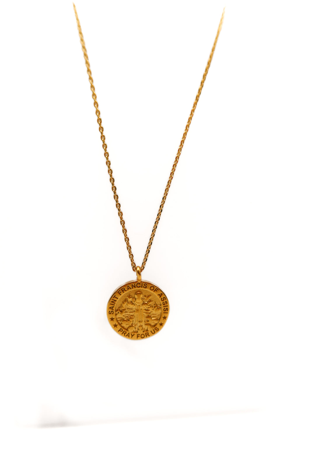 Living with Landyn st. Francis necklace