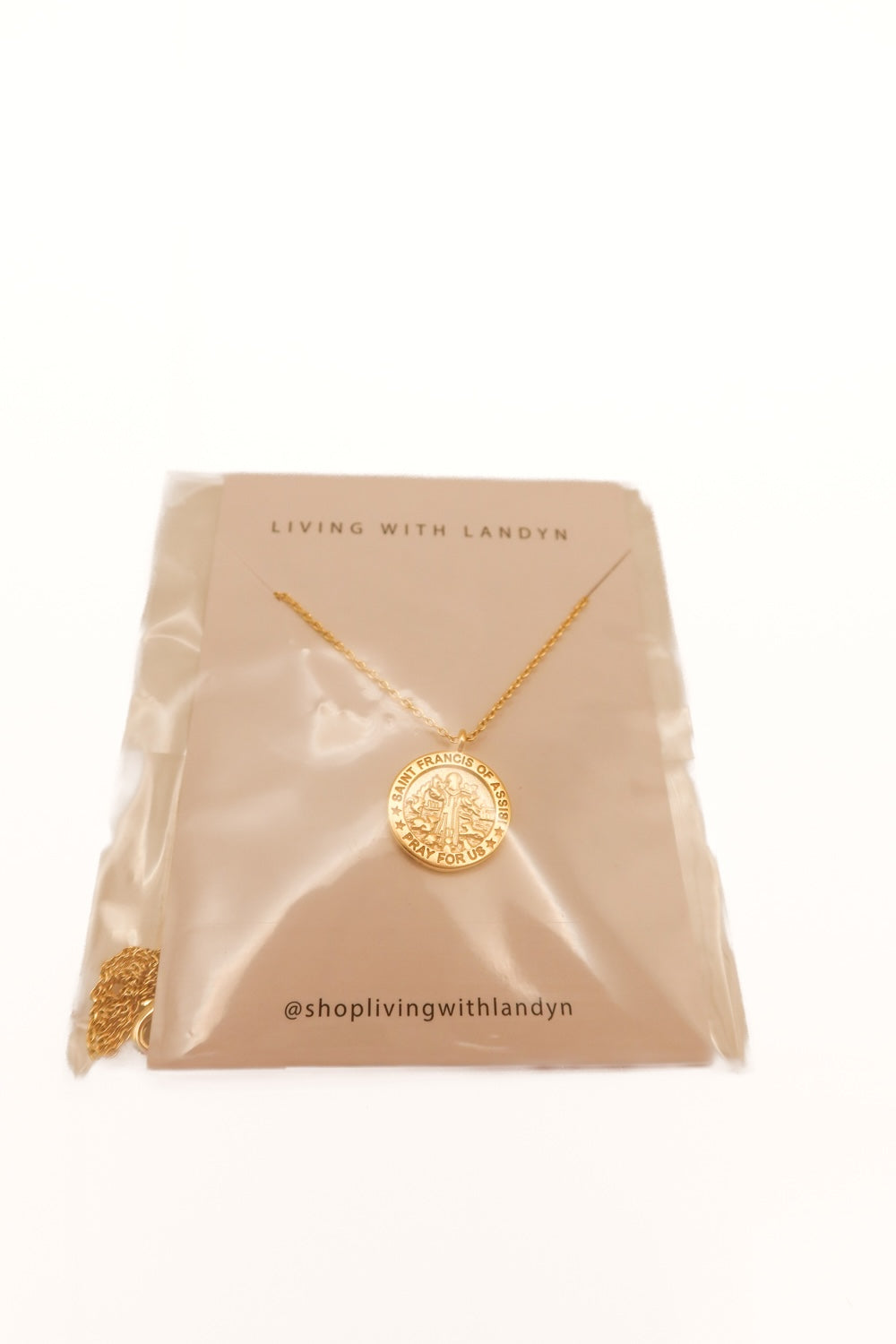 Living with Landyn saint francis necklace NWT