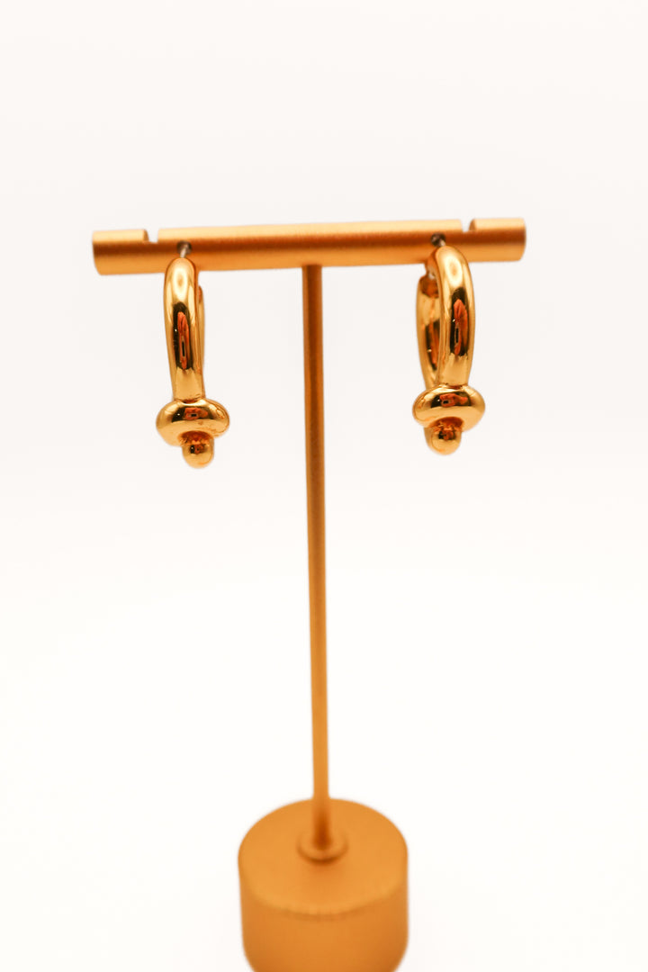 Jenny bird gold small hoop earrings (retail $118)