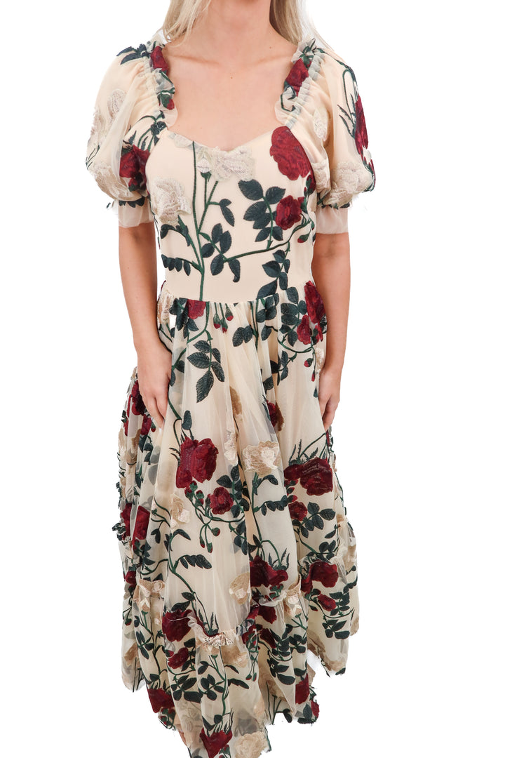 Ivy City tulle floral dress (S; retail $188)