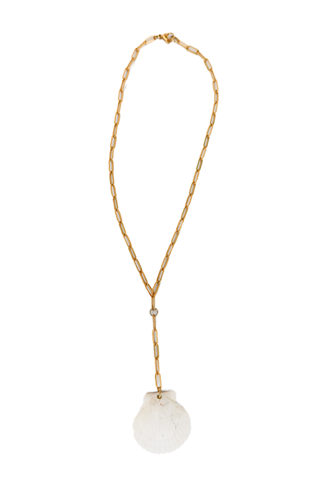 reshelled gold paper clip chain seashell necklace (retail $120)