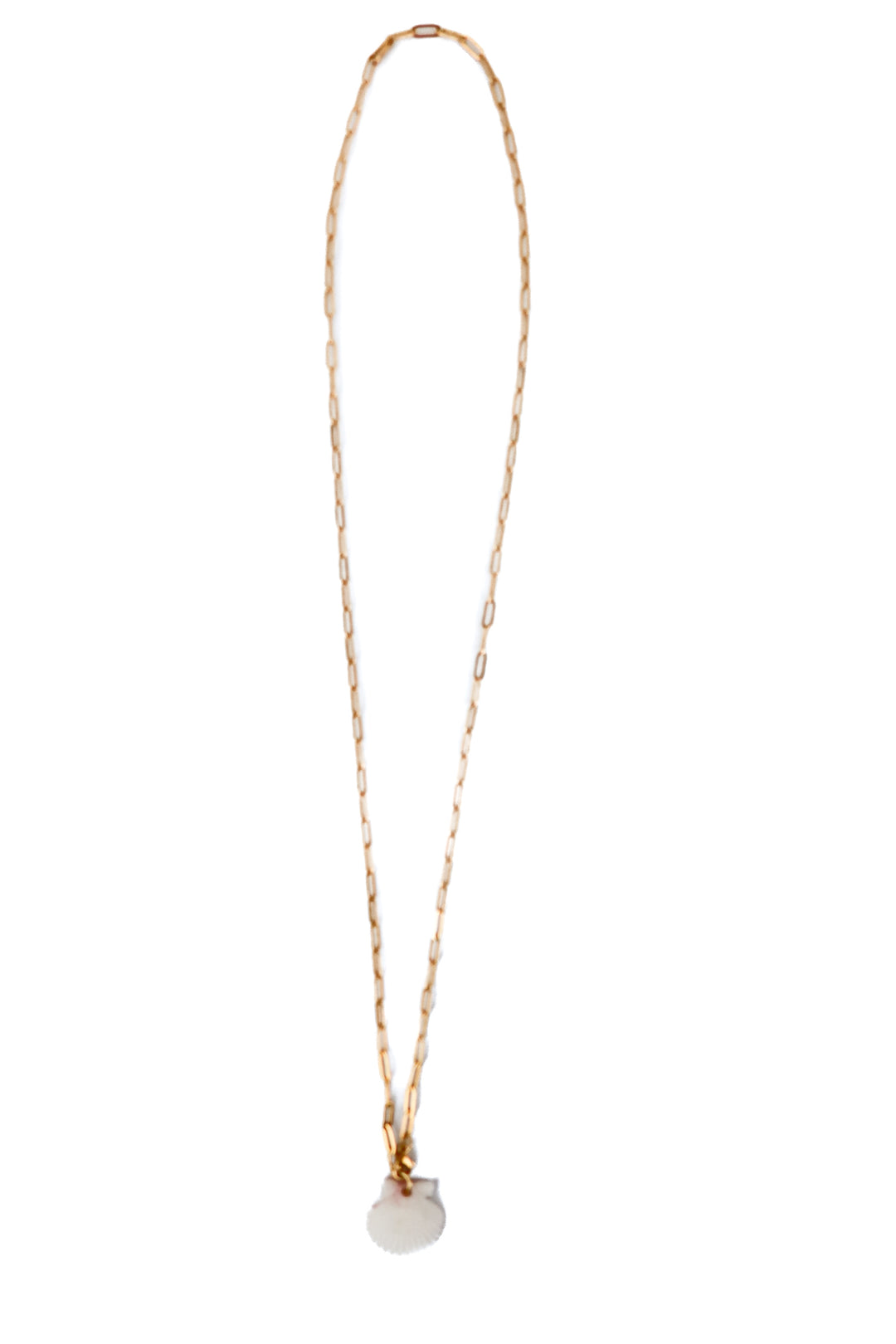 reshelled long gold chain shell necklace (retail $95)