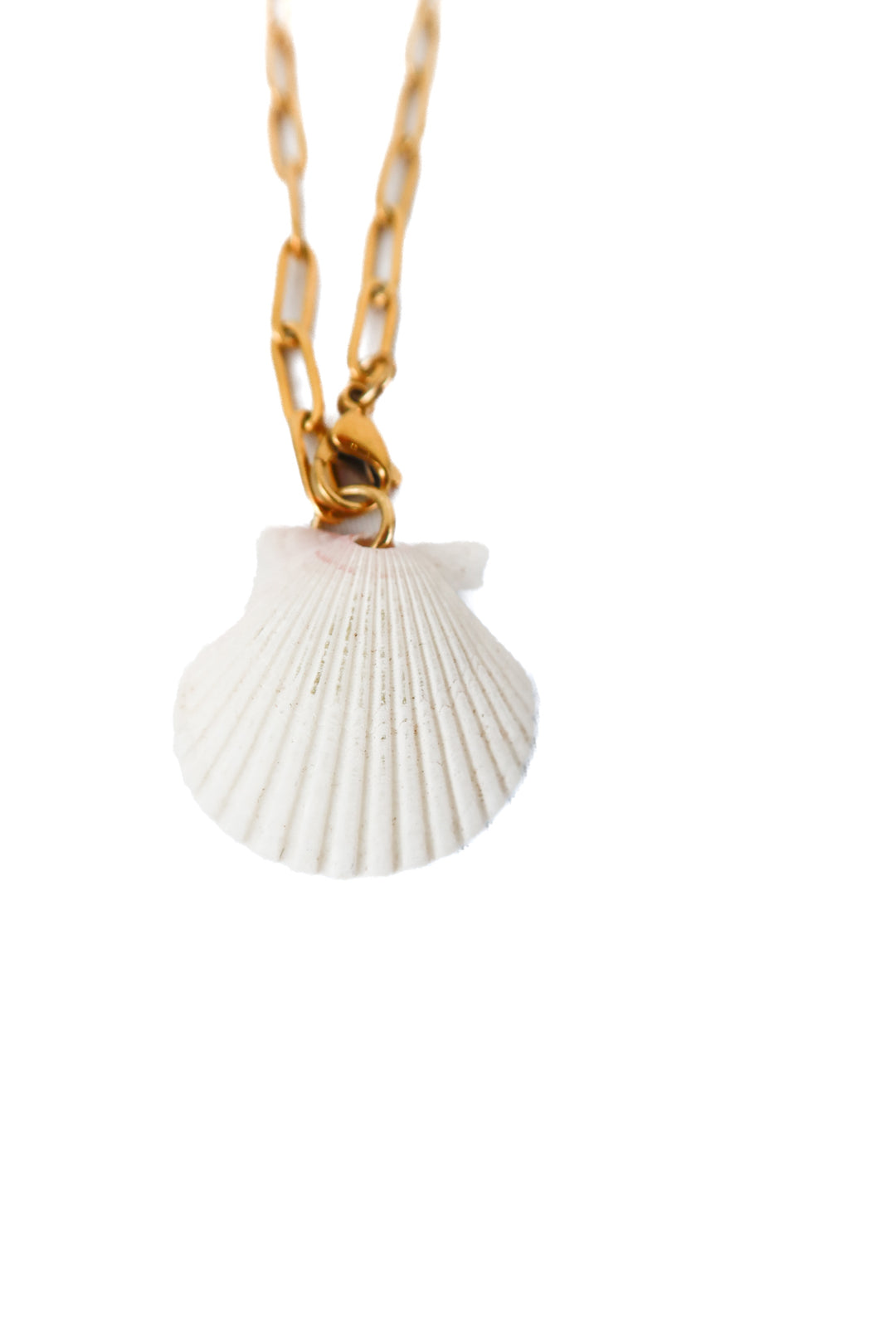 reshelled long gold chain shell necklace (retail $95)