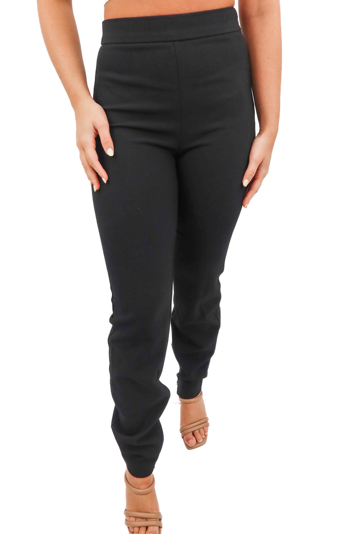 Babaton black trouser pants (4)