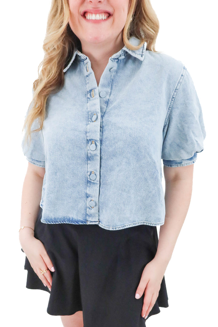 frame billow sleeve top NWT (s; retail $348)