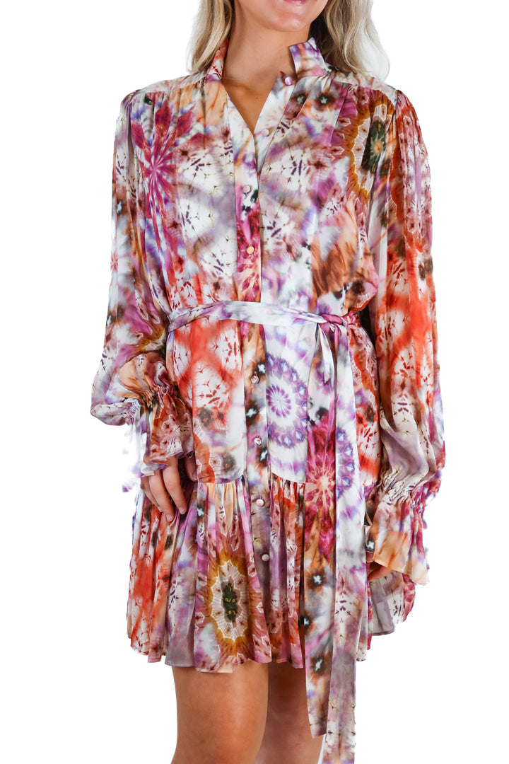 alexie printed long sleeve dress (s; retail $250)