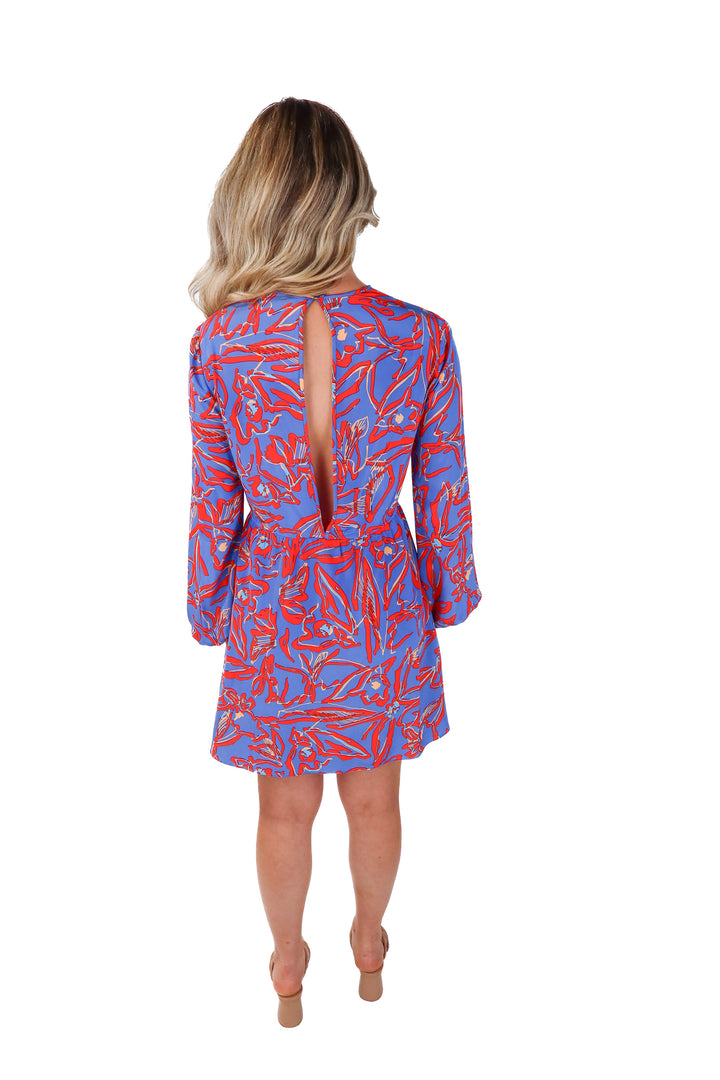 Diane von Furstenberg silk printed mini dress (est. retail $495)