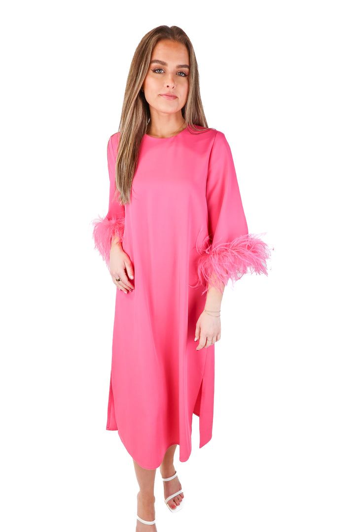 Tuckernuck pink feather midi dress (S; retail $298)
