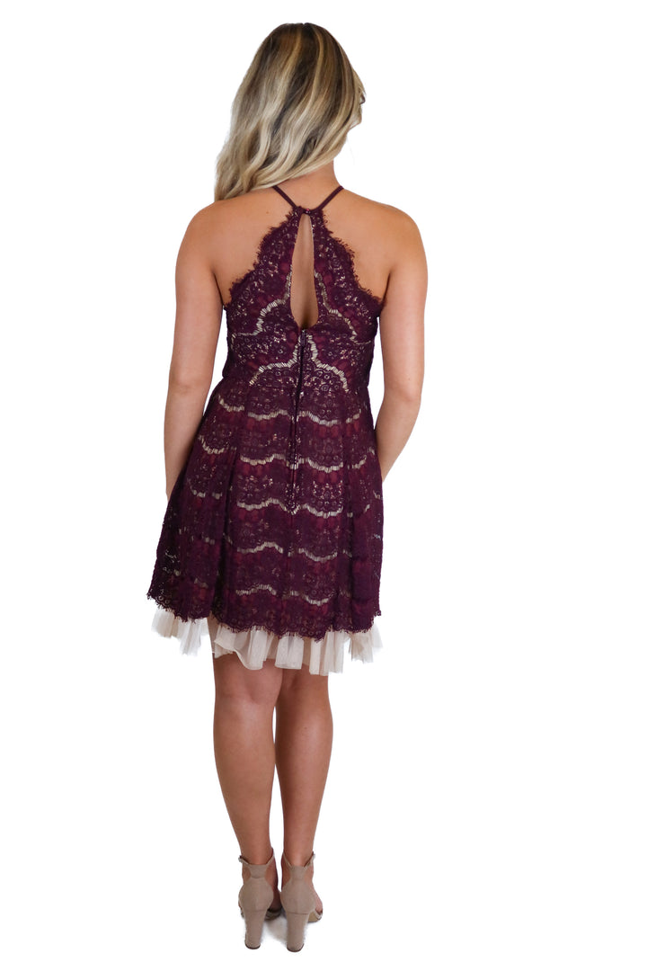 francescas dark purple lace halter dress (M)