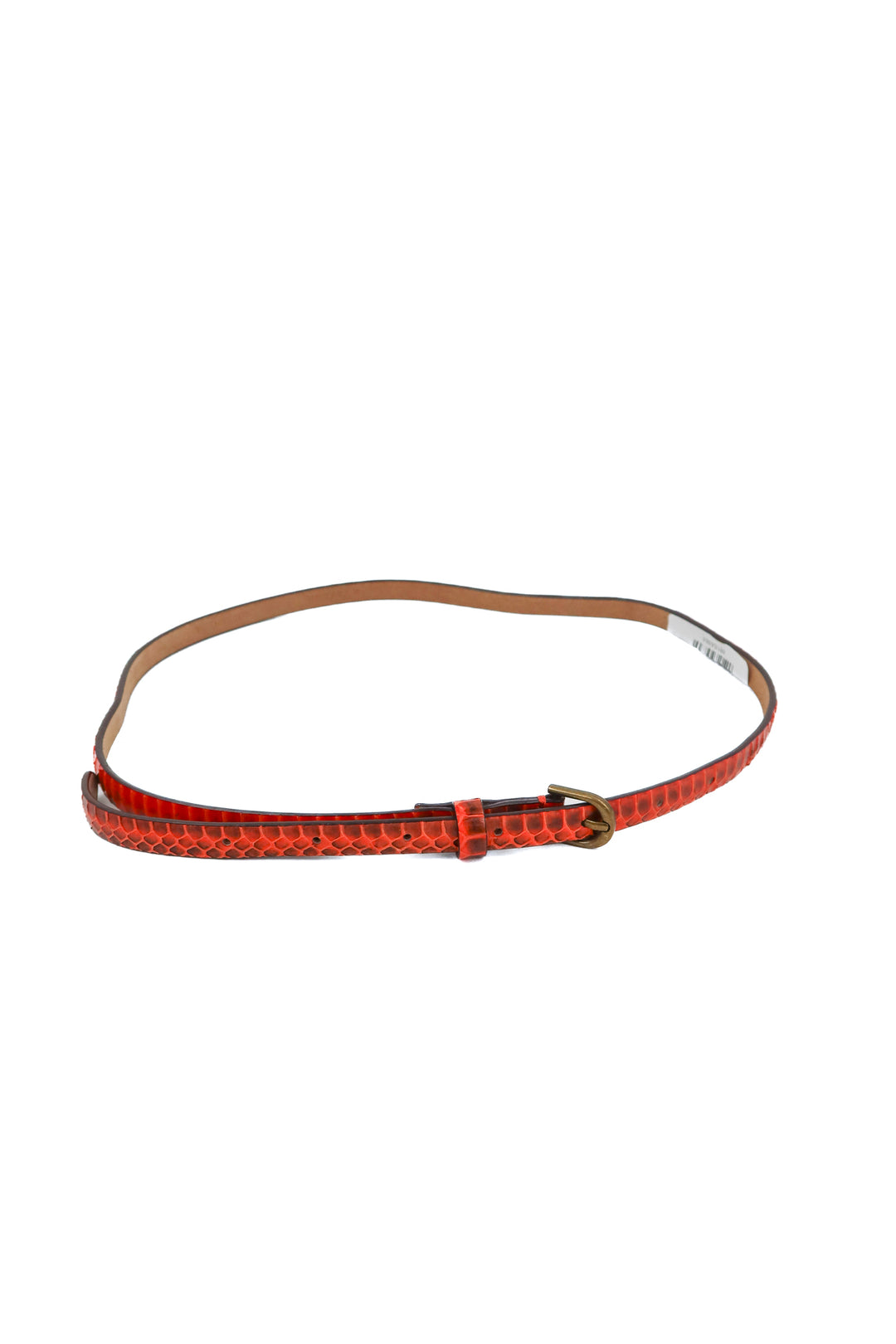 ann taylor orange snakeskin skinny belt (s)