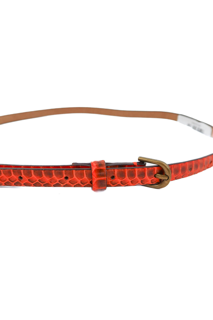 ann taylor orange snakeskin skinny belt (s)