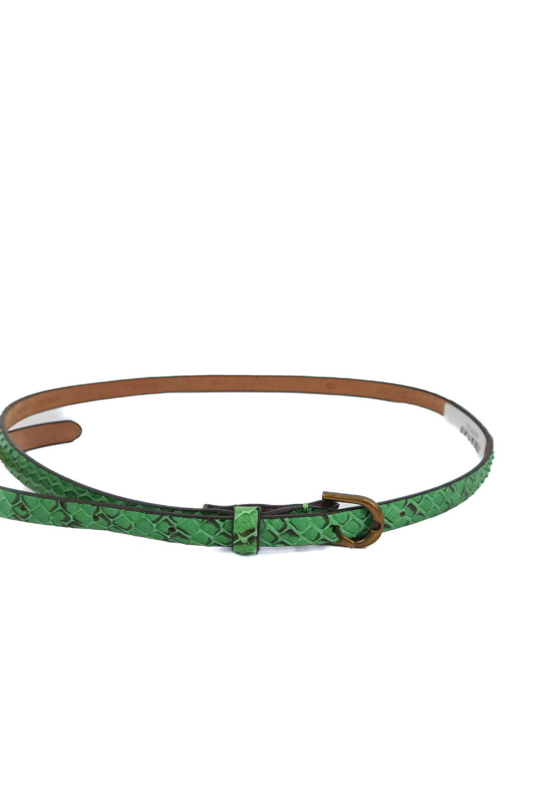 ann taylor green snakeskin belt (s)