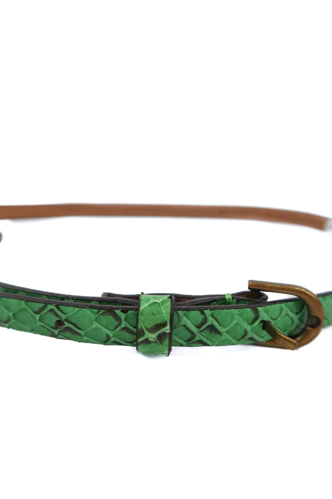 ann taylor green snakeskin belt (s)