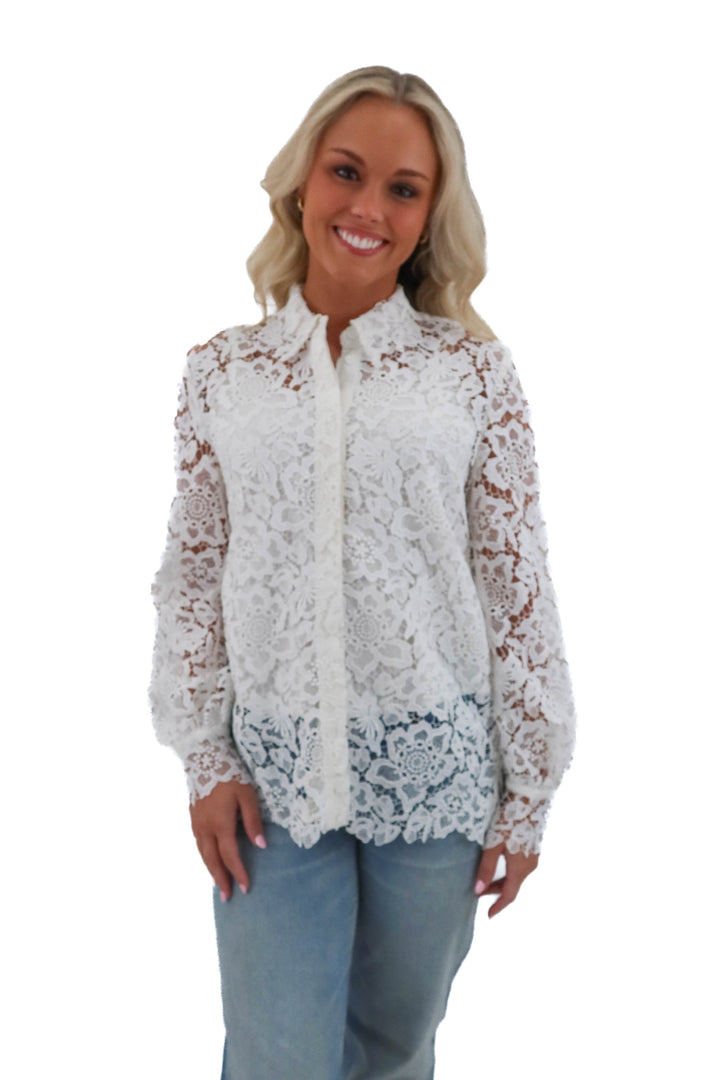 french connection lace blouse (size 4; retail $99)