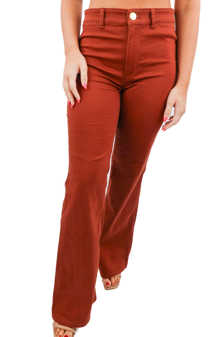 ann taylor rust pants (0; retail $129)