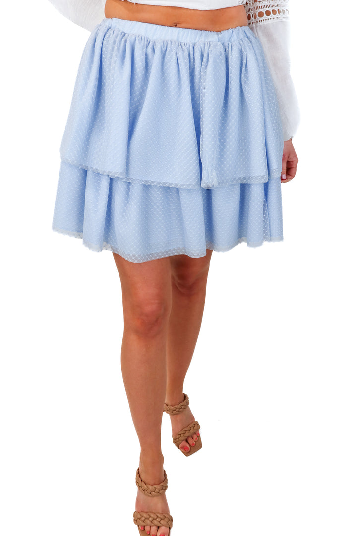 hill house "the clara tulle skirt" NWT (S)