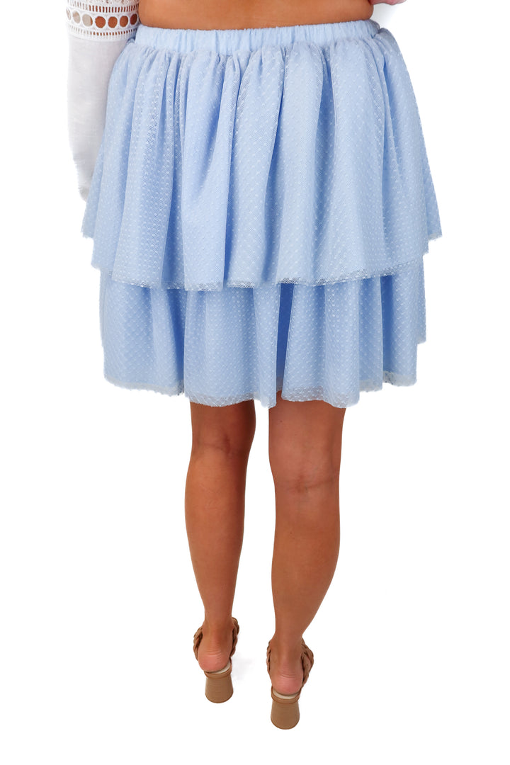 hill house "the clara tulle skirt" NWT (S)