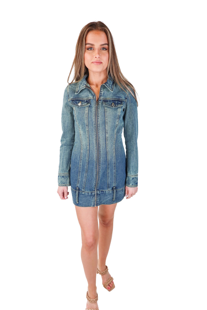 pretty little thing denim mini dress (4; retail $65)