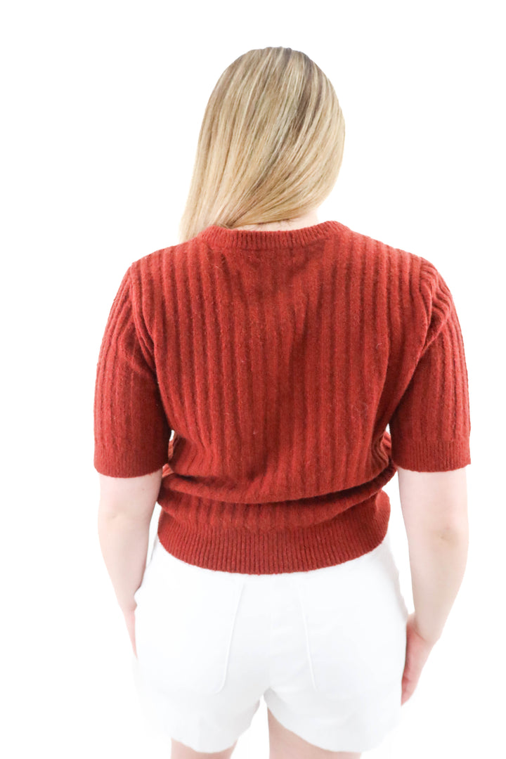 madewell deep rust ribbed merino wool blend cardigan (l)