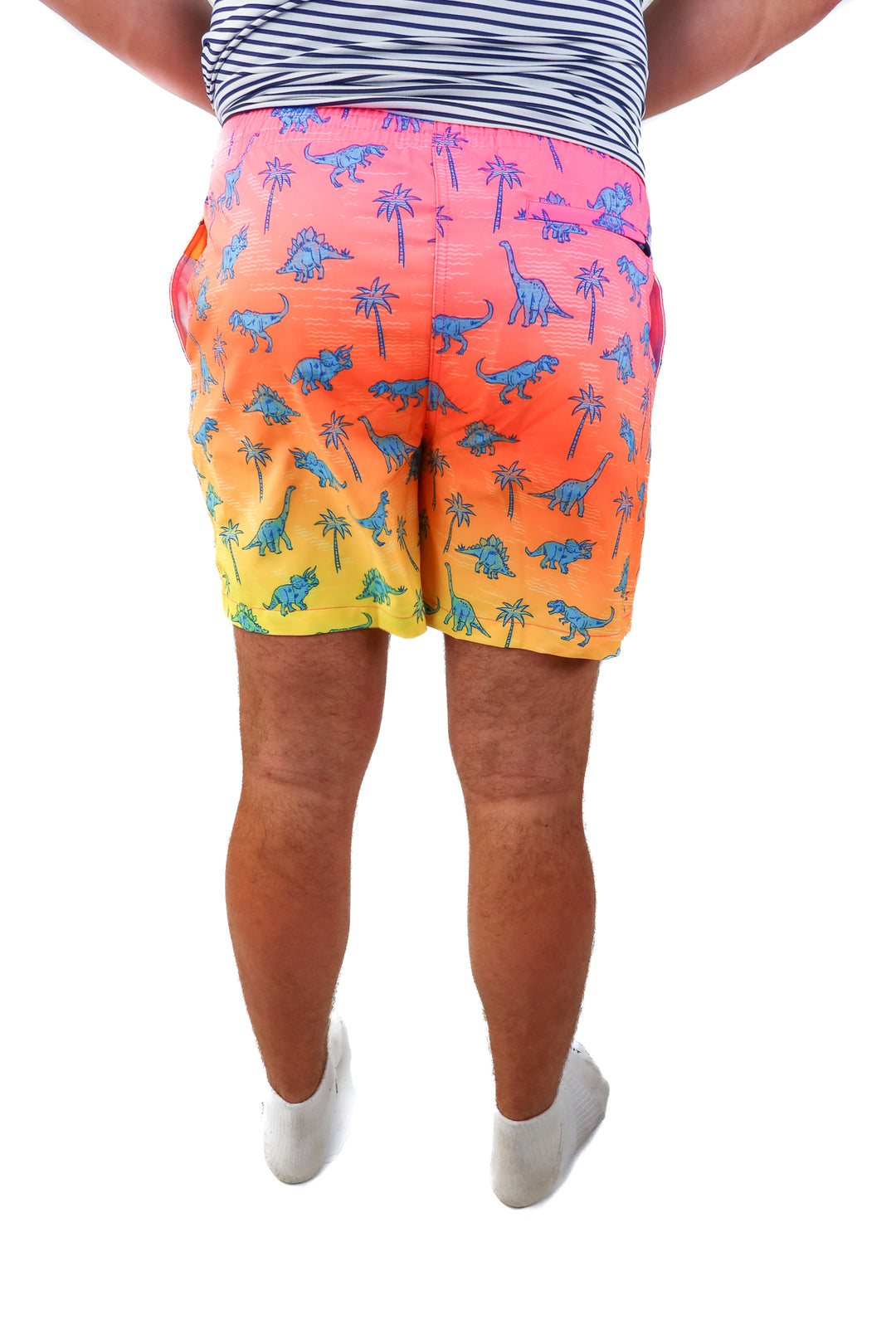 chubbies dinosaur swim shorts NWT (XL)