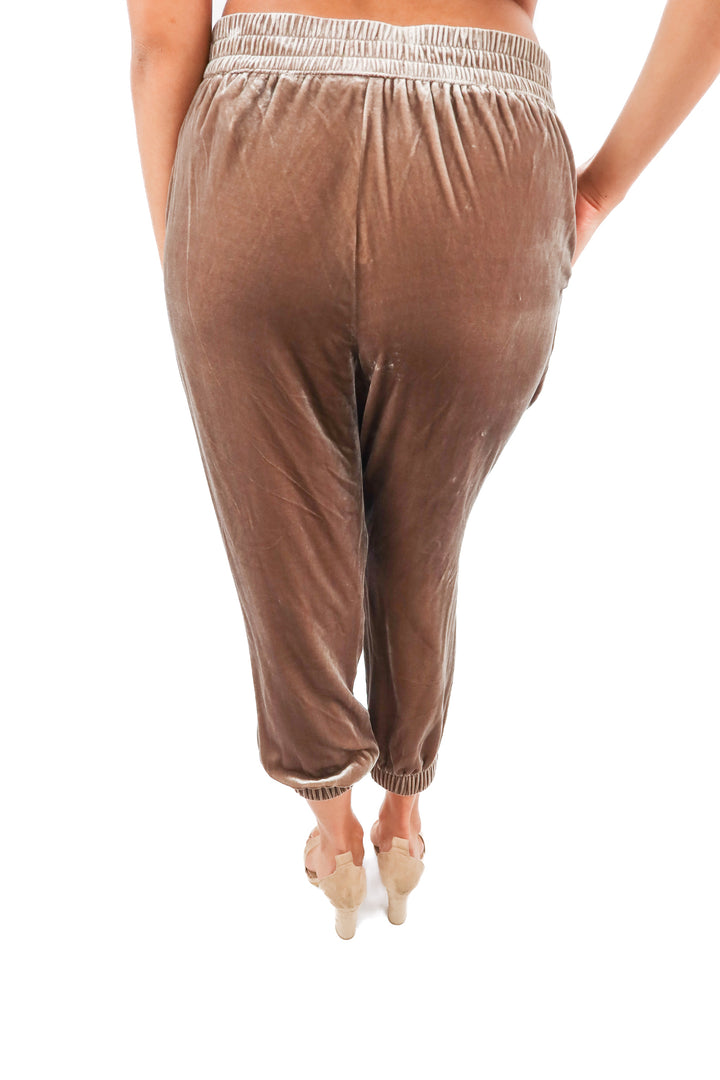 BR brown velour joggers (M)
