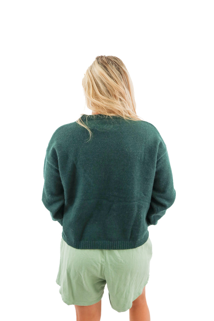 green "fish" knit sweater (L; retail $59)