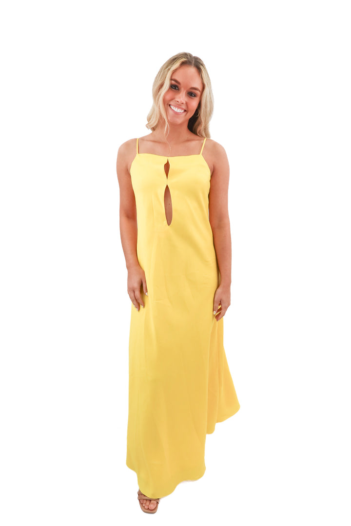 antonio melani yellow satin maxi dress NWT (xs; retail $199)
